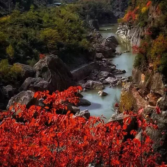 甘肃又一绝对秘境，比九寨更明艳，与黄龙同秀，美的惊艳！