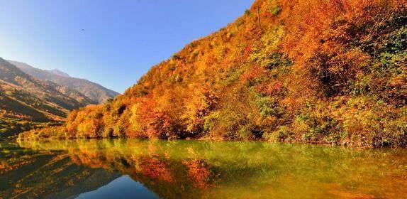 甘肃陇南一景点,位列甘肃20大景点之一,网友:景色超越九寨沟!