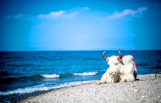 想围绕青海西北大环线旅行，这几个旅游景区是不容错过的